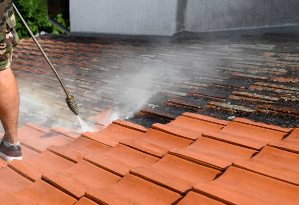 Best House Pressure Washing  in Western Springs, IL