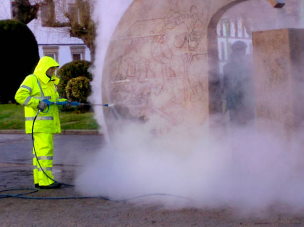 Best Fence Pressure Washing  in Western Springs, IL