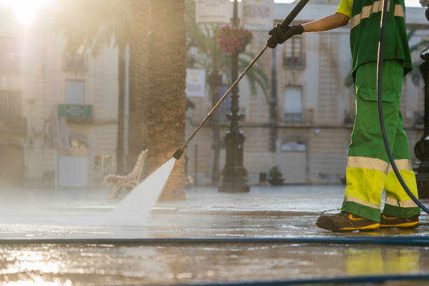 Best Garage Pressure Washing  in Western Springs, IL