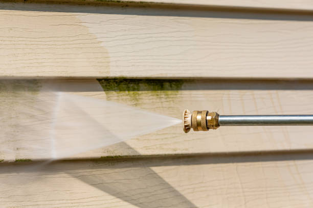 Best Deck Pressure Washing  in Western Springs, IL