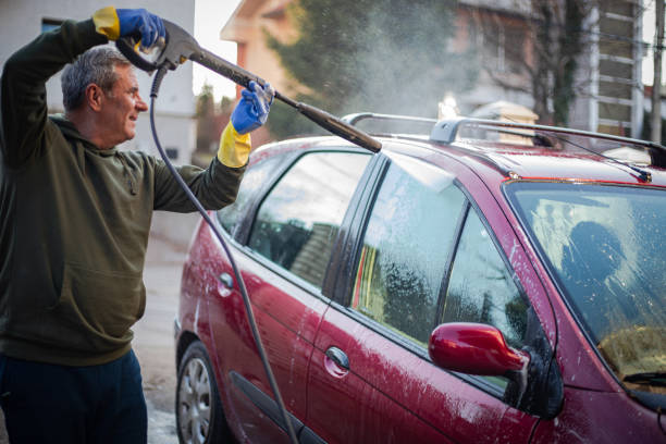 Best Roof Power Washing Services  in Western Springs, IL