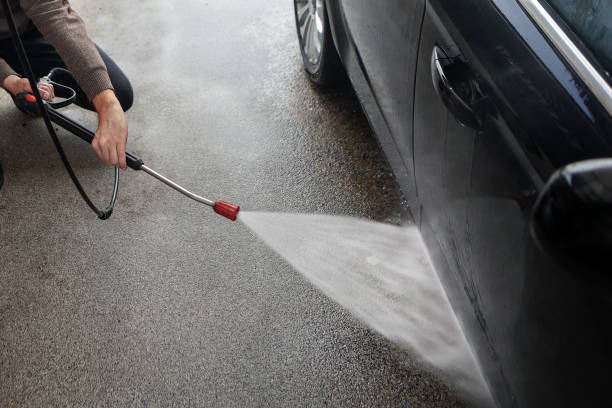 Best Roof Pressure Washing  in Western Springs, IL